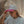 Load image into Gallery viewer, San Diego Wave FC x Huega House Pink &amp; White High Profile Hat
