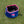 Load image into Gallery viewer, San Diego Wave FC Crest Collapsible Water Bowl
